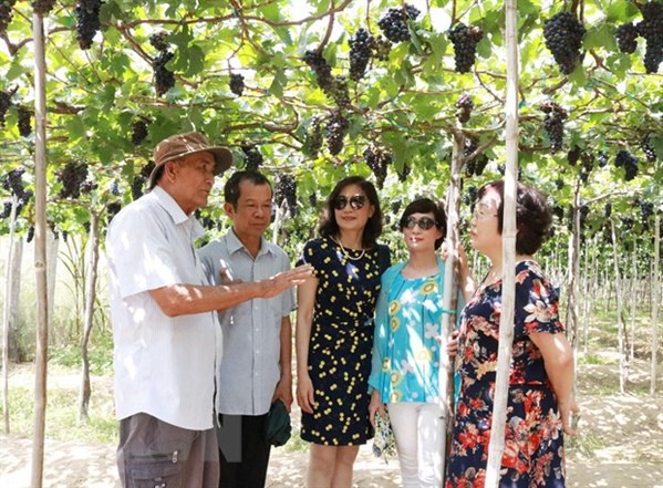 Lượng khách đến Ninh Thuận dịp nghỉ lễ tăng gấp 3 lần năm 2018