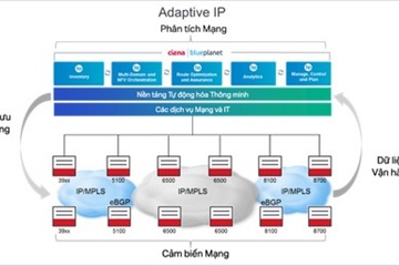 IP Thích ứng sẽ thay đổi mạng IP ra sao?