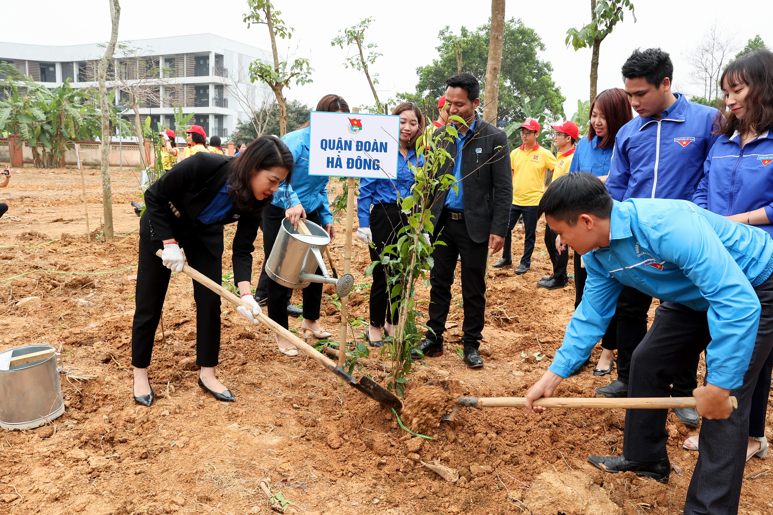 Phát động trồng cây 